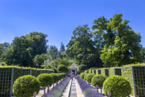 Burghley Garden of Surprises