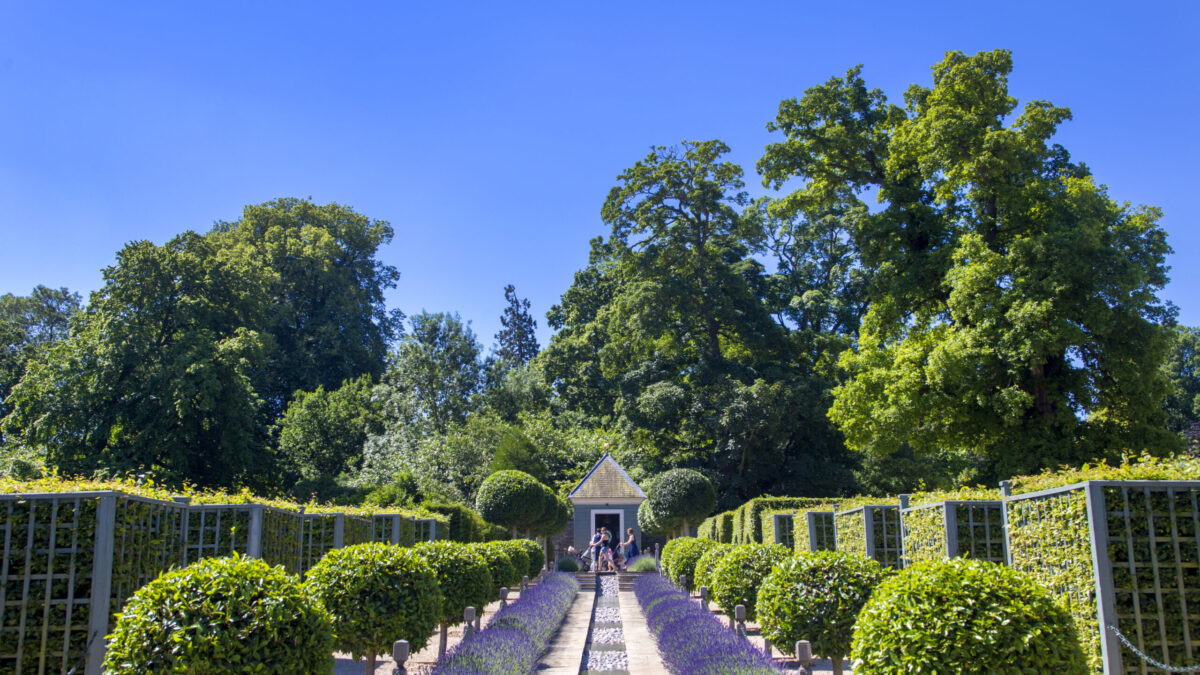 Burghley Garden of Surprises